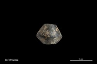 藏品(陶紡輪)的圖片